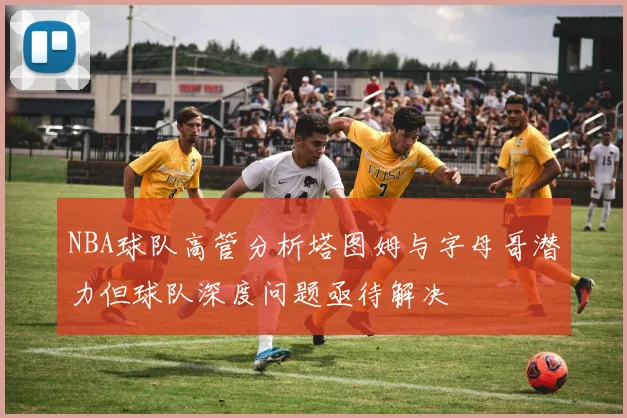NBA球队高管分析塔图姆与字母哥潜力但球队深度问题亟待解决